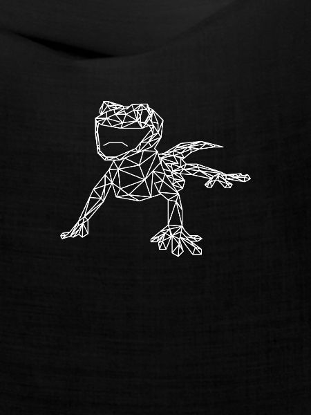 Gecko Geometrie