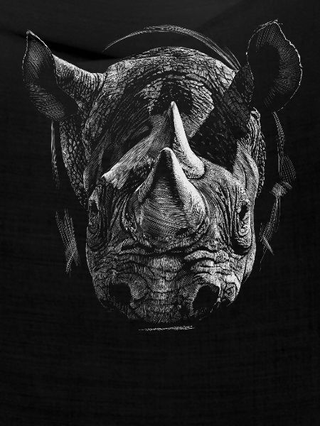 Nashorn
