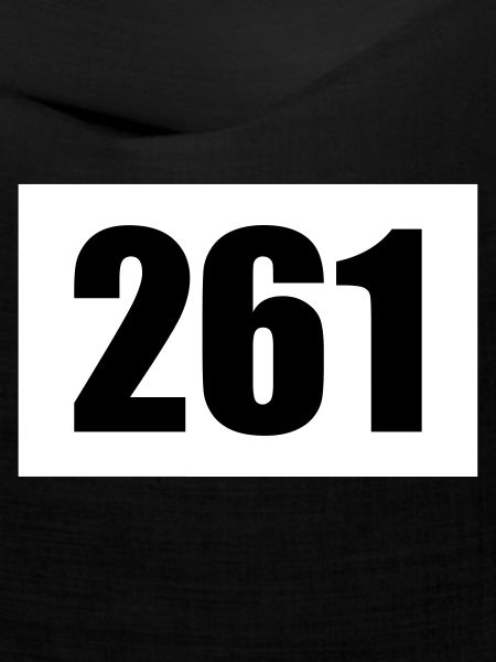 Startnummer 261