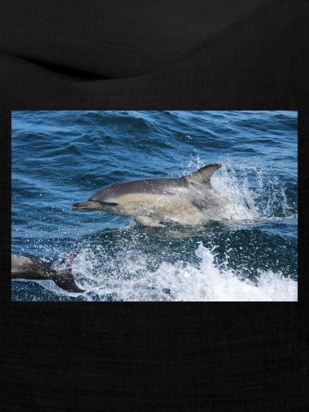 Delfin