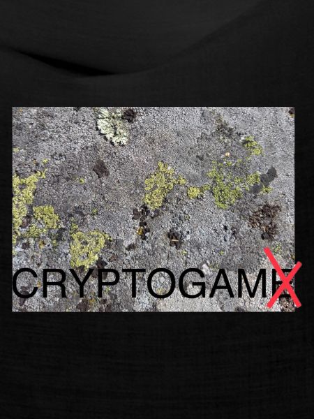 Cryptogam - kein Kryptospiel