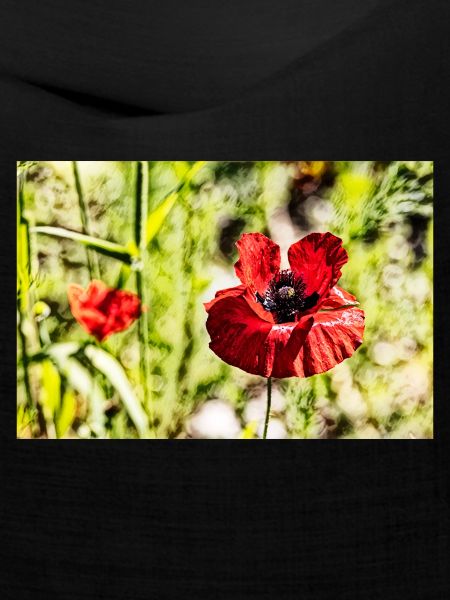 Mohnblumen