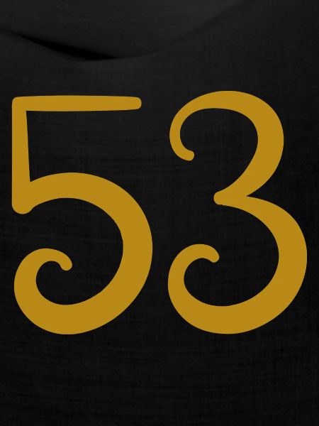 53
