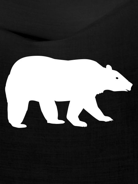 Eisbär