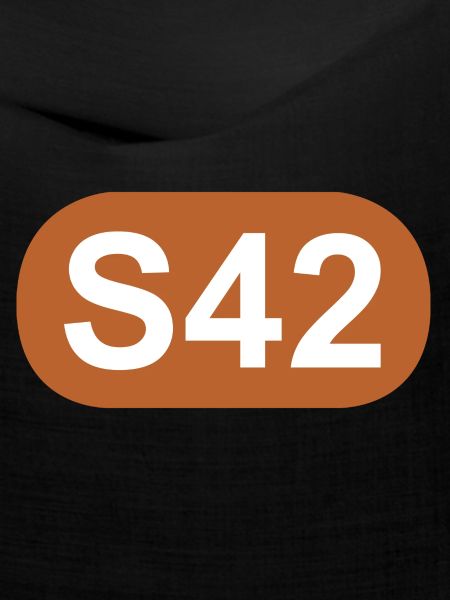 S-Bahn Berlin S42