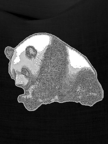Panda groß