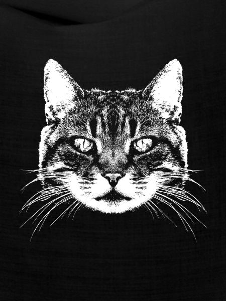 Katze / Cat / Main coon