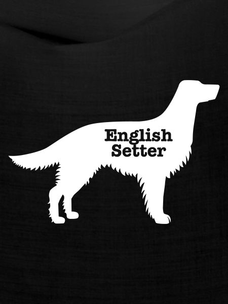 Englisch Setter