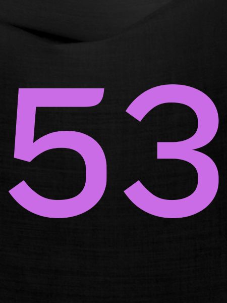 53