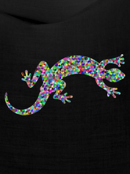 Gecko, Salamander, patterncontest