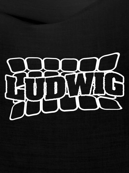 Vorname Ludwig