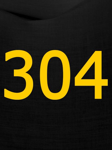 304
