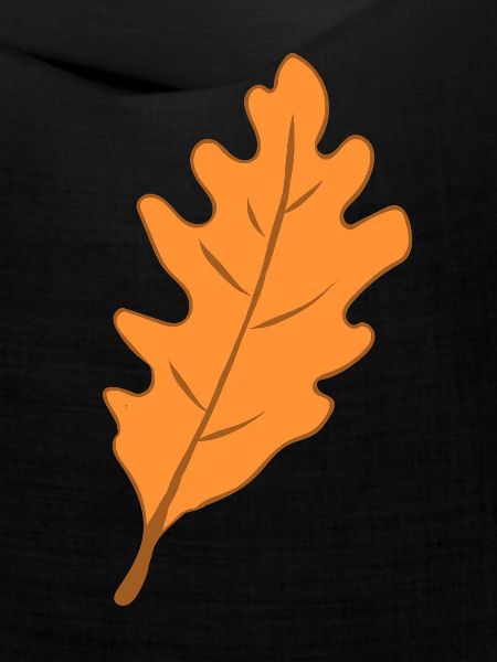 Eiche - Blatt - Herbst