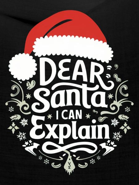Dear Santa I can explain