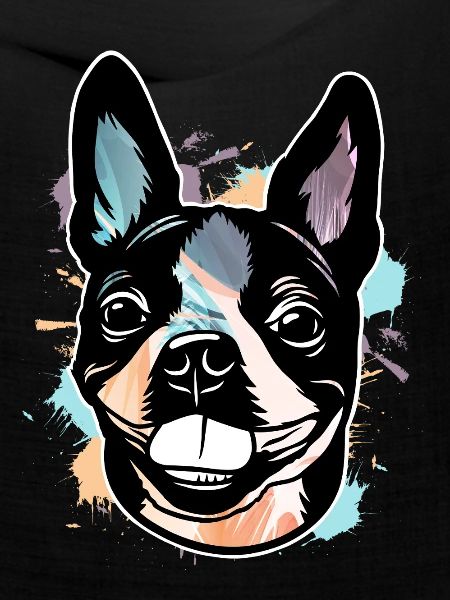 Boston Terrier