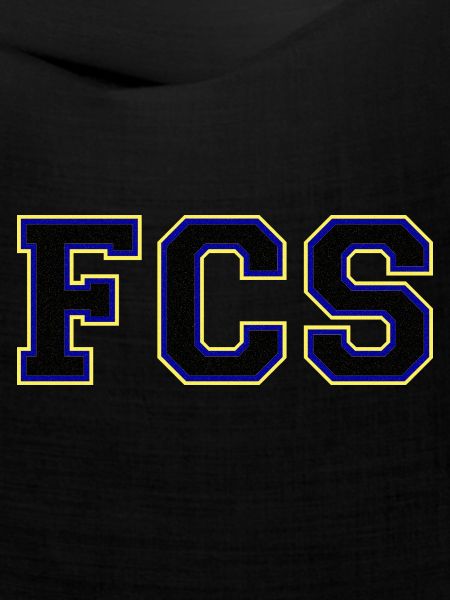 FCS - 1.FC Saarbrücken
