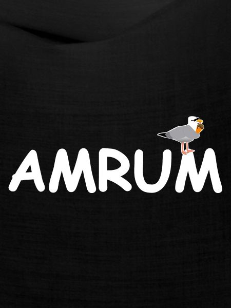 Amrum Möwe Nordsee