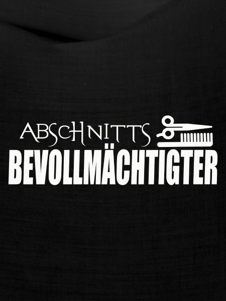 ABSCHNITTSBEVOLLMÄCHTIGTER