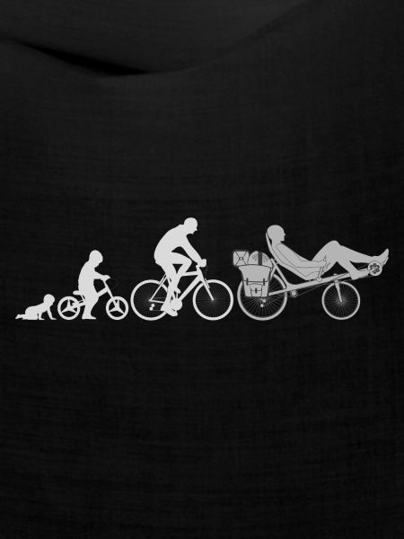 Evolution Liegerad