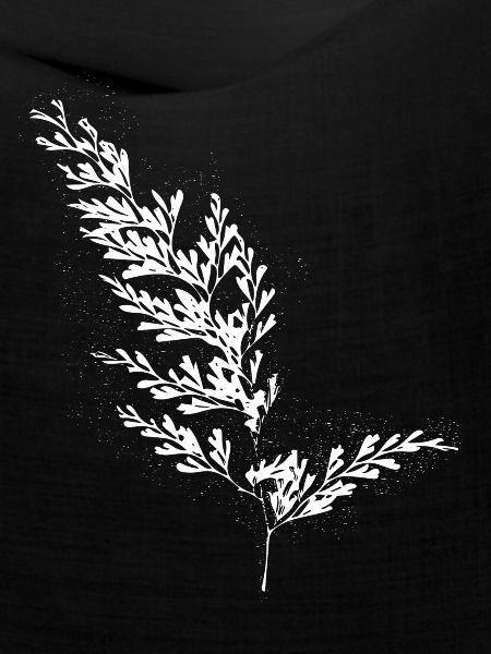 Farn Blatt