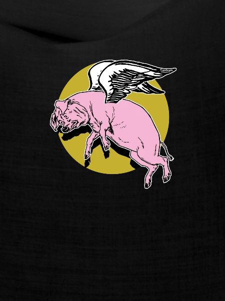 Flying Pig