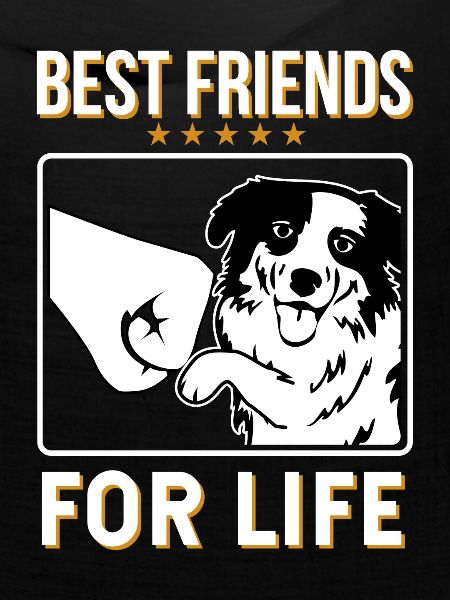 Australian Shepherd