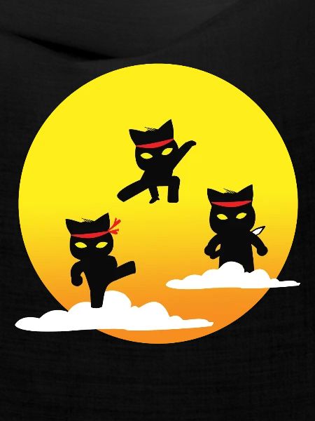 Ninja Katzen