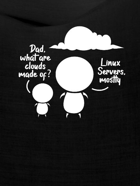 Softwareentwickler