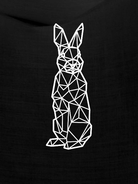 Hase Polygon