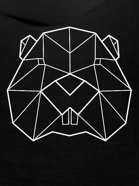 Biber Polygon