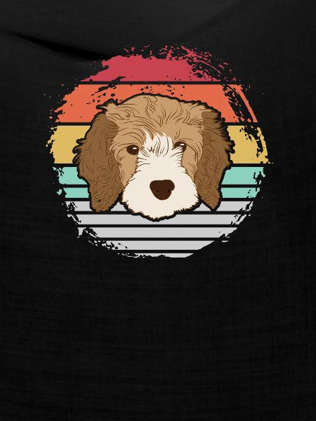 Cavapoo Hund