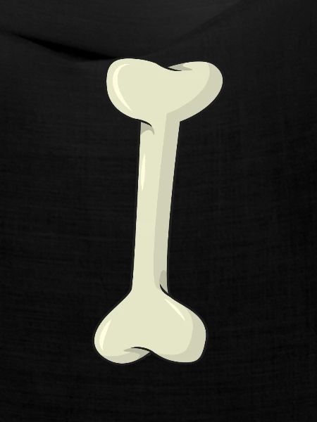 Knochen