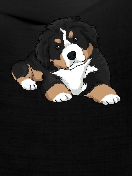 Berner Sennenhund Welpe