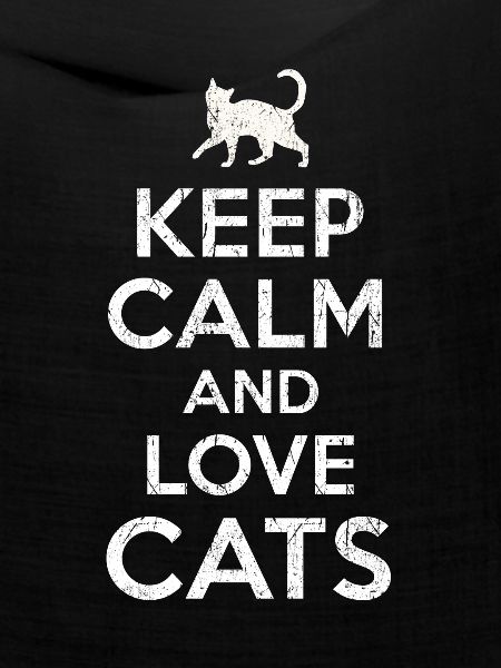 Keep calm Katze