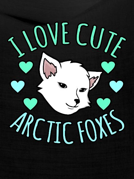 Polarfuchs