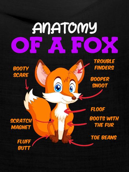 Anatomie eines Fuches Fuchs Kinder