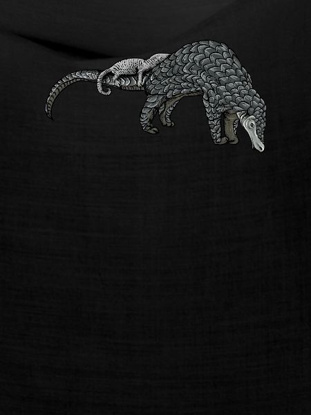 Schuppentier Pangolin Schuppen bedrohtes Tier