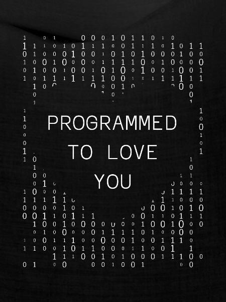 Entwickler Coder Programmierer