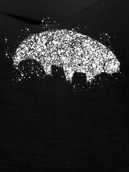 Wasserbär Bärtierchen Tardigrade