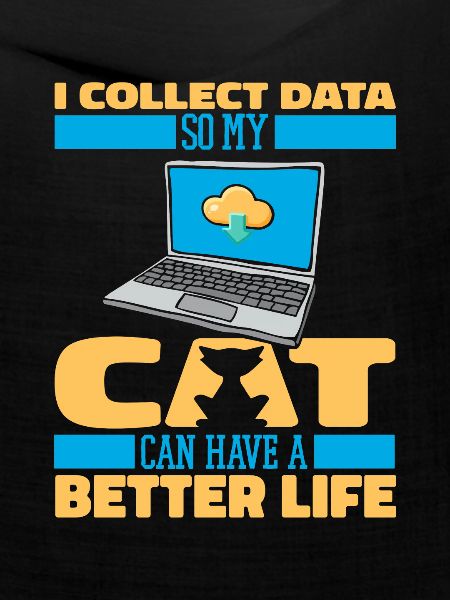 Data Science Data Analyst Katze