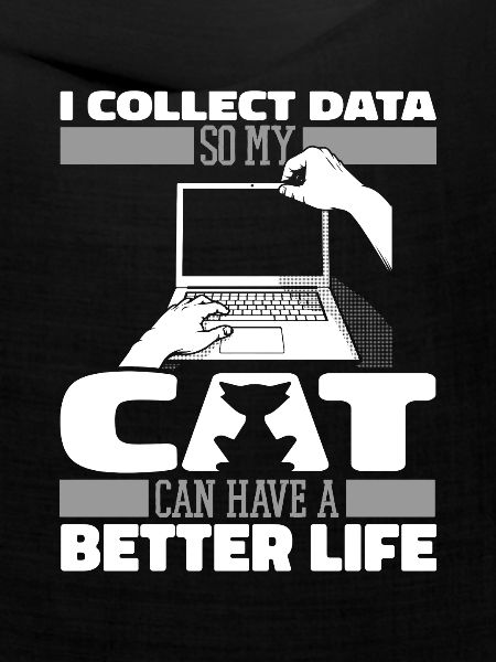 Data Science Data Analyst Katze