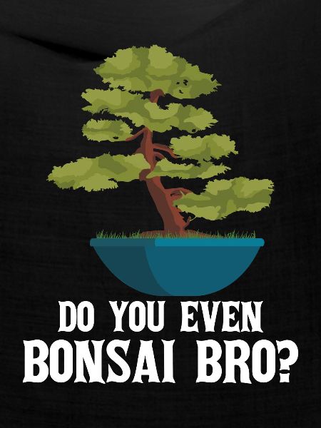 Bonsai Baum
