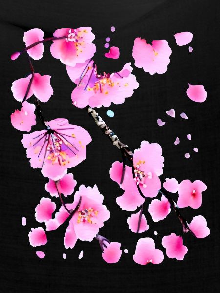 Kirschblüte Japanisch Sakura