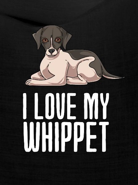 Whippet