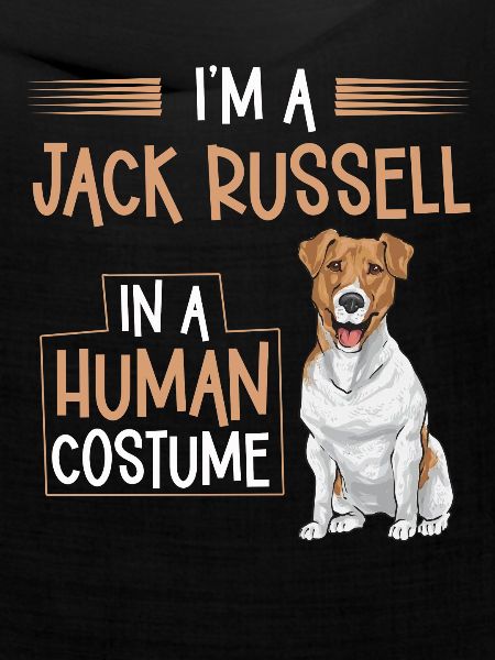 Jack Russell Terrier