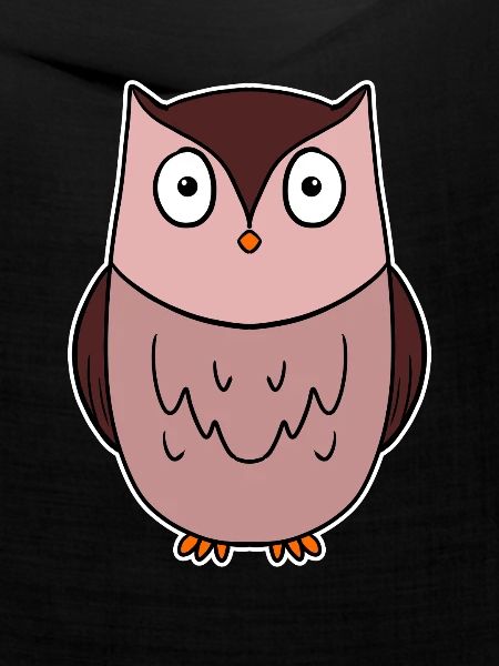 Eule Vogel Nachtvogel
