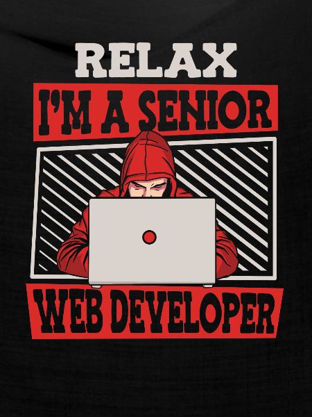 Web Entwickler Webdeveloper Senior
