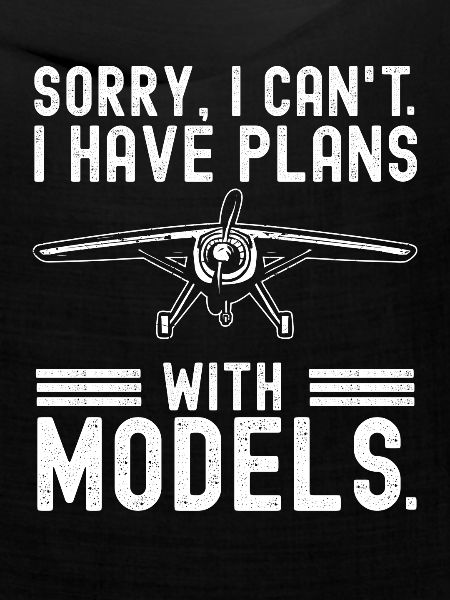 Ferngesteuertes Flugzeug Modellflugzeug