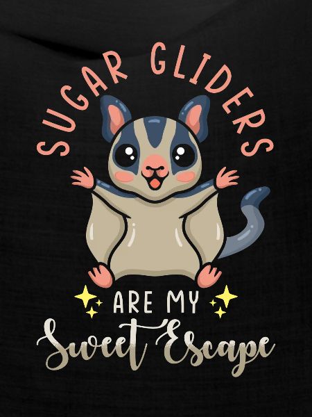 Sugar Glider Spruch