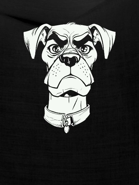Hund Vierbeiner Lustig